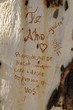 Te amo