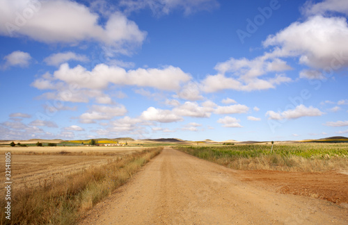 Photo: Strada tra i campi Strada tra i campi