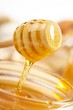Honey with wood stick Honey with wood stick