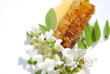 Akazienhonig  Biohonig Serie Zutaten Herstellung