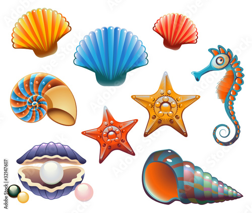 Vektor: Seashell Set Seashell Set