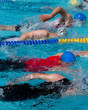 Schwimmwettkampf