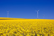 Windenergie