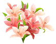Bib bunch of lilies Bib bunch of lilies