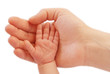 Photo: generationen hand in hand generationen hand in hand