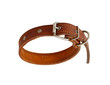 dog collar