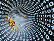 Internet bugs