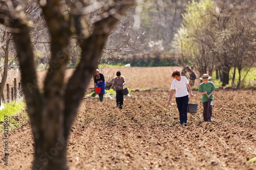 Photo: Family of farmers sowing on their land Family of farmers sowing on their land