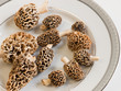 Morel Mushrooms