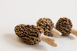 Morel Mushrooms