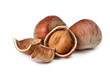 Hazelnuts.
