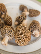 Morel Mushrooms