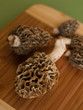 Morel Mushrooms