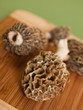 Morel Mushrooms