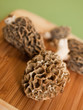 Morel Mushrooms