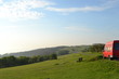 campagne angleterre