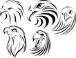 Vektor: eagles face set eagles face set