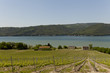 Lago di Corbara, panorama Lago di Corbara, panorama