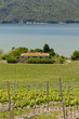 Lago di Corbara, panorama Lago di Corbara, panorama