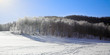 winter landscape winter landscape