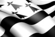 Flag of Brittany