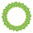 Green leaves round frame isolated on white.
