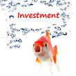 investment