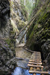 Schlucht