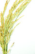 Thai rice Thai rice
