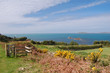 st mary's view