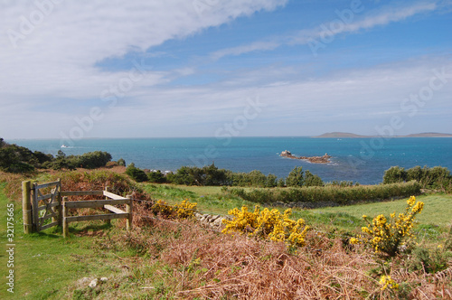 Photo: st mary's view st mary's view
