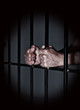 prison