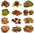 Wood nut