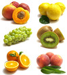 Fruits