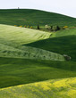 Photo: Tuscany Tuscany