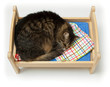 Toy cradle and a cat