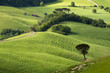 Tuscany