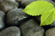 hot stones