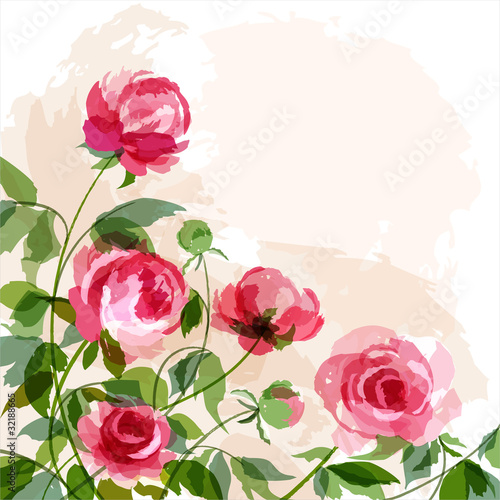 Vektor: Peonies Peonies