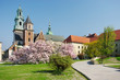 Wawel castle in Krakow, Poland