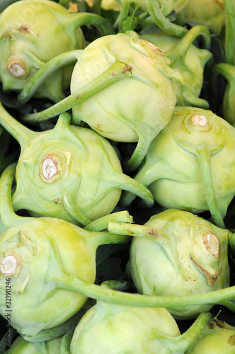 Foto: Kohlrabi aus biologischem Anbau Kohlrabi aus biologischem Anbau