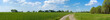 Panorama of green fields