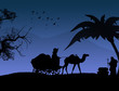arabian blue sunset