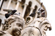 Foto: Group of pigeons on the statue Group of pigeons on the statue