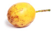 passion  fruit - tropical fruit