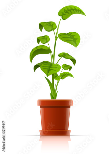 Vector: plant in flowerpot vector plant in flowerpot vector