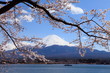 富士と桜