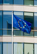 European Union flag