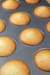 Madeleines