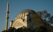 une mosquée d'istanbul